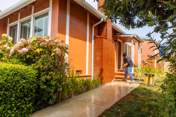 Best Deck Cleaning Services  in Grand Blanc, MI
