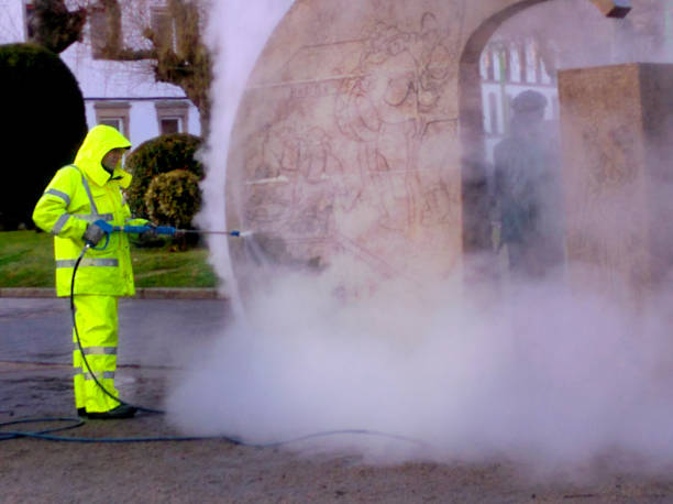 Best Fence Pressure Washing  in Grand Blanc, MI