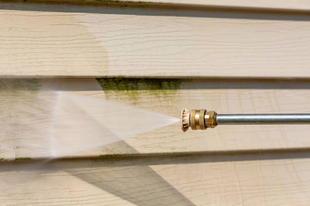 Best Roof Pressure Washing  in Grand Blanc, MI